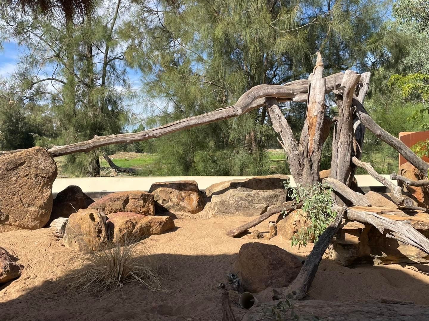 Dubbo Zoo 2025 Image -67de04a772ac1